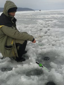 2015-01-03 11.26.15.jpg