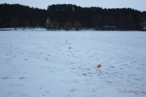 678 005.jpg