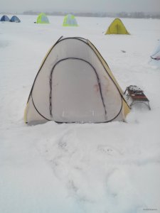 IMG_20150106_110236.jpg