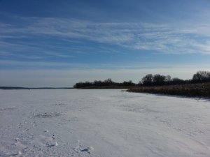 20150107_123246.jpg