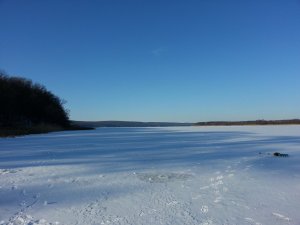 20150107_123231.jpg