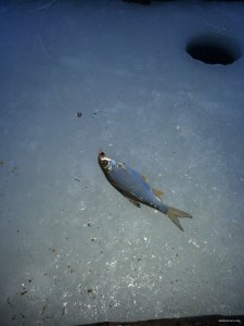 20150107_072935.jpg