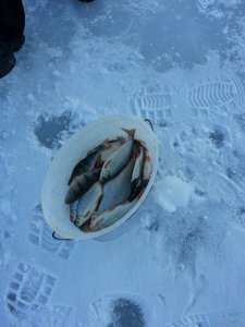 20150107_144750.jpg