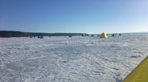 2015-01-08-0582.jpg