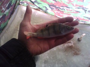 IMG_20150108_101949.jpg