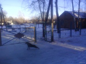 IMG_20150108_122909.jpg