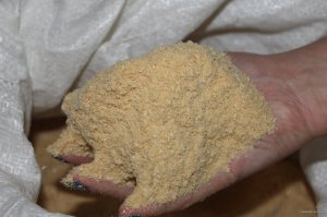 IMG_4620.JPG