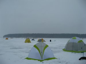 IMG_2898-1.jpg