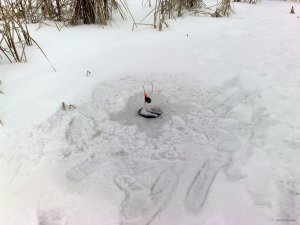 100120154707.jpg