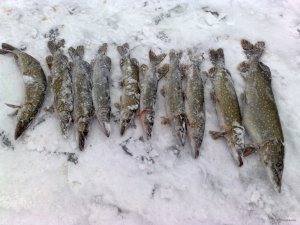 100120154714.jpg