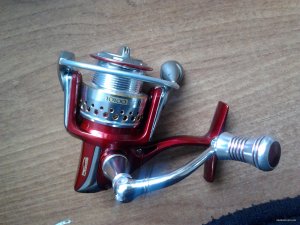 2015-01-12 12.52.55.jpg