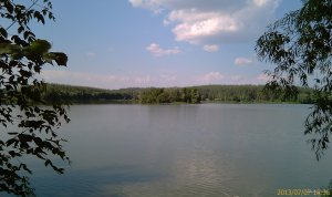 IMAG0829.jpg
