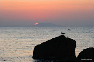 IMG_4690 copy.JPG