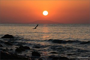 IMG_4757 copy.jpg