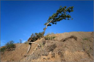 IMG_4989 copy.jpg