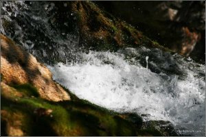 IMG_5362 copy.jpg