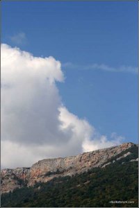 IMG_5559 copy.jpg