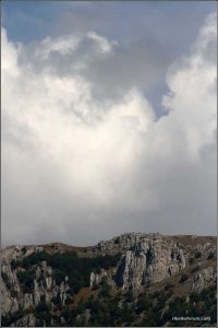 IMG_5574 copy.jpg