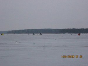 IMG_2698[1].JPG