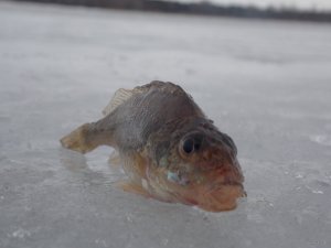 DSCN2250.JPG