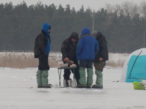 DSCN2238.JPG