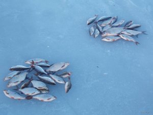 DSCN2265.JPG