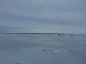 20150116_093703.jpg