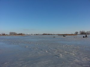 20150116_141408.jpg