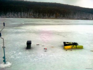 IMG_20150118_085232.jpg