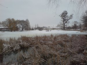 DSC01745.JPG