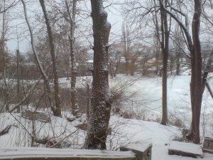 DSC01746.JPG