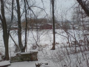 DSC01747.JPG