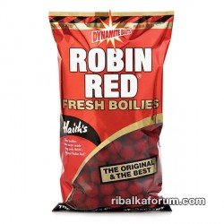 boil_robin-red_3015526.jpg