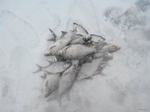 2015122152710.jpg