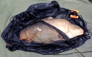 monster_carp_zip_sack.jpg