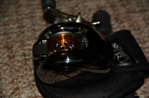 IMG_6695.jpg