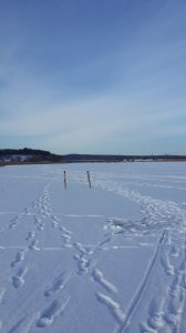 20150124_140122.jpg