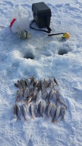 20150124_140043.jpg