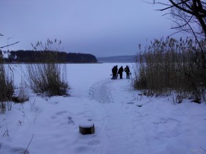 IMG_20150125_072840.jpg