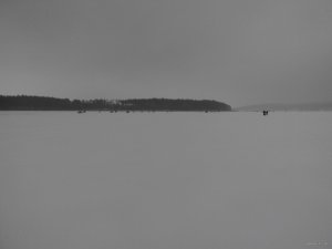 IMG_20150125_082950.jpg