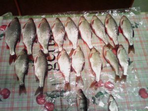 IMG_20150127_193938.jpg