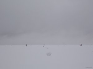 DSCN2312.JPG