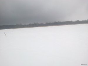 280120151187.jpg