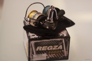 IMG_6884.JPG