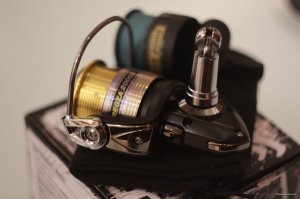 IMG_6885.JPG