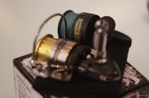 IMG_6886.JPG