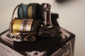 IMG_6887.JPG
