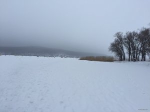 IMG_6816.JPG