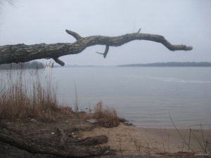 IMG_8415.JPG