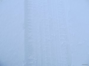 IMG_0796.jpg